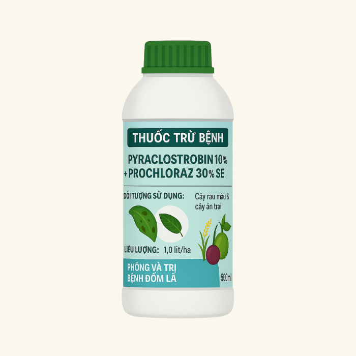 Thuốc Trừ Bệnh PYRACLOSTROBIN 10% + PROCHLORAZ  30% SE
